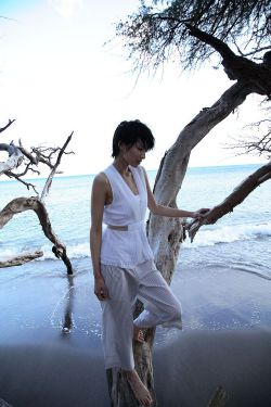 射雕之我有太玄经