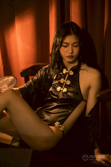 龙之家族第二季