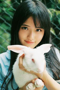 密爱电影版完整版免费观看高清