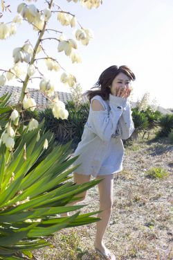 境界触发者动漫